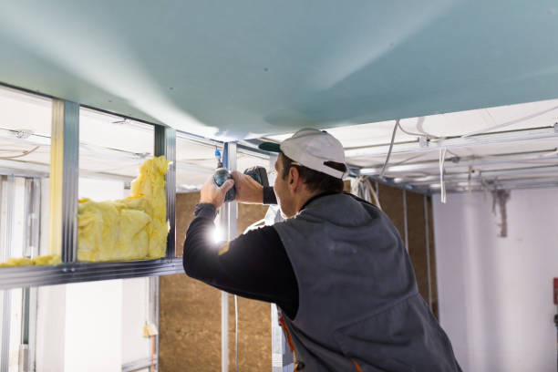 Best Commercial Insulation in Moscow, ID