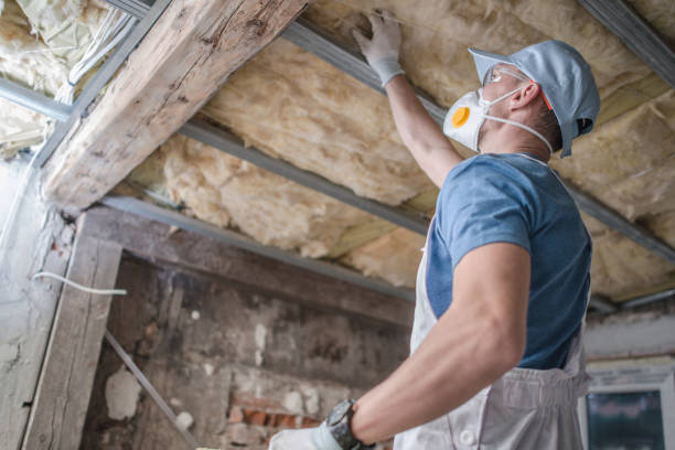 Best Specialty Insulation in Moscow, ID